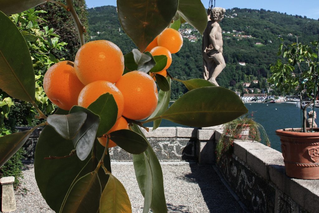 Giardini Isola Bella con arance